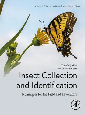 Gibb / Oseto |  Insect Collection and Identification | eBook | Sack Fachmedien