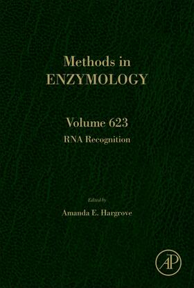  RNA Recognition | Buch |  Sack Fachmedien