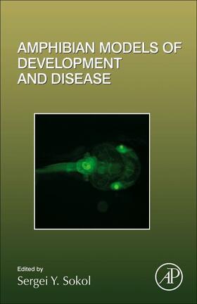 Amphibian Models of Development and Disease | Buch | 978-0-12-816833-2 | sack.de