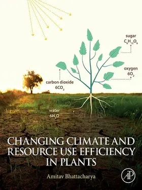 Bhattacharya |  Changing Climate and Resource use Efficiency in Plants | eBook | Sack Fachmedien