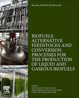 Pandey / Larroche / Gnansounou |  Biomass, Biofuels, Biochemicals | Buch |  Sack Fachmedien