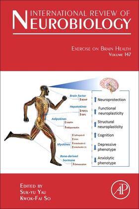  Exercise on Brain Health | Buch |  Sack Fachmedien