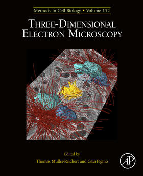 Muller-Reichert / Pigino |  Three-Dimensional Electron Microscopy | eBook | Sack Fachmedien