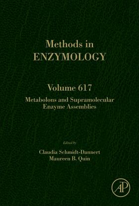 Schmidt-Dannert |  Metabolons and Supramolecular Enzyme Assemblies | Buch |  Sack Fachmedien