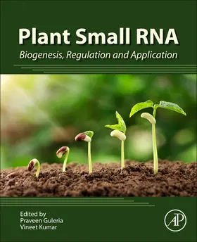 Guleria / Kumar |  Plant Small RNA | Buch |  Sack Fachmedien