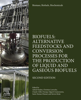 Pandey / Larroche / Gnansounou | Biomass, Biofuels, Biochemicals | E-Book | sack.de