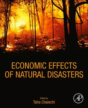 Chaiechi |  Economic Effects of Natural Disasters | Buch |  Sack Fachmedien