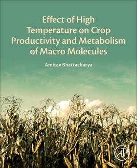 Bhattacharya |  Effect of High Temperature on Crop Productivity and Metabolism of Macro Molecules | Buch |  Sack Fachmedien