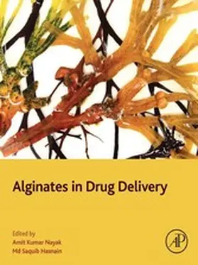 Nayak / Hasnain |  Alginates in Drug Delivery | eBook | Sack Fachmedien