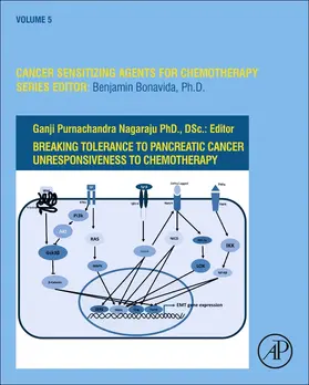 Bonavida |  Breaking Tolerance to Pancreatic Cancer Unresponsiveness to Chemotherapy | Buch |  Sack Fachmedien