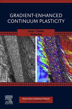 Voyiadjis / Song |  Gradient-Enhanced Continuum Plasticity | Buch |  Sack Fachmedien