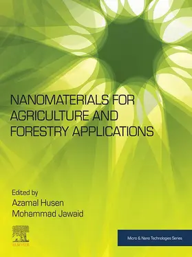 Husen Ph. D. / Husen / Jawaid |  Nanomaterials for Agriculture and Forestry Applications | eBook | Sack Fachmedien