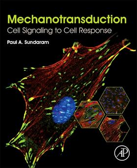 Sundaram |  Mechanotransduction | Buch |  Sack Fachmedien