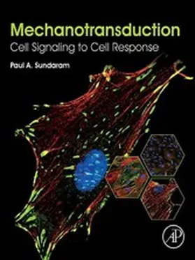 Sundaram |  Mechanotransduction | eBook | Sack Fachmedien