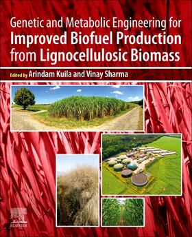 Kuila / Sharma |  Genetic and Metabolic Engineering for Improved Biofuel Produ | Buch |  Sack Fachmedien