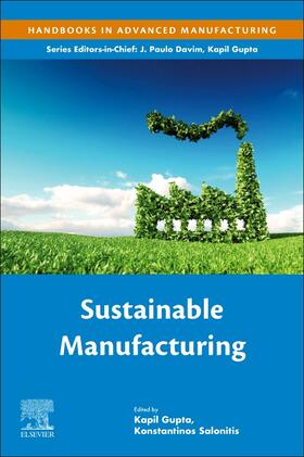 Gupta / Salonitis | Sustainable Manufacturing | Buch | 978-0-12-818115-7 | sack.de