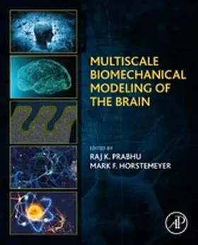 Horstemeyer / Prabhu |  Multiscale Biomechanical Modeling of the Brain | eBook | Sack Fachmedien