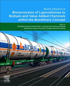 Ferreira Filho / de Souza Moreira / Ximenes |  Recent Advances in Bioconversion of Lignocellulose to Biofue | Buch |  Sack Fachmedien