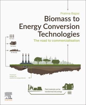 Bajpai |  Biomass to Energy Conversion Technologies | Buch |  Sack Fachmedien