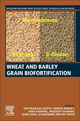 Gupta / Pandey / Narwal |  Wheat and Barley Grain Biofortification | Buch |  Sack Fachmedien