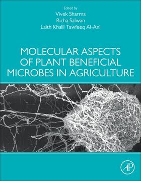 Sharma / Salwan / Tawfeeq Al-Ani |  Molecular Aspects of Plant Beneficial Microbes in Agricultur | Buch |  Sack Fachmedien