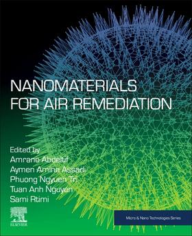 Amrane / Assadi / Nguyen-Tri |  Nanomaterials for Air Remediation | Buch |  Sack Fachmedien