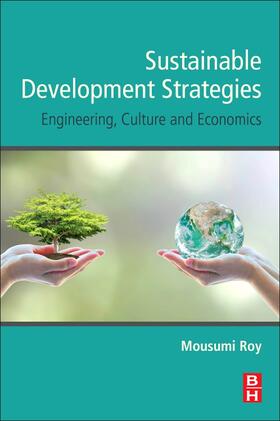 Feige / Roy | Sustainable Development Strategies | Buch | 978-0-12-818920-7 | sack.de