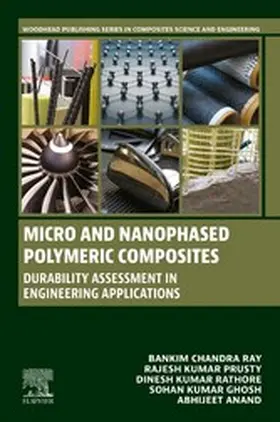 Ray / Prusty / Rathore |  Micro and Nanophased Polymeric Composites | eBook | Sack Fachmedien