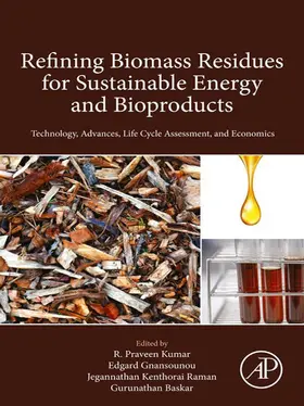 Kumar / Gnansounou / Raman |  Refining Biomass Residues for Sustainable Energy and Bioproducts | eBook | Sack Fachmedien