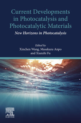 Wang / Anpo / Fu |  Current Developments in Photocatalysis and Photocatalytic Materials | eBook | Sack Fachmedien