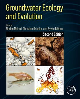 Griebler / Malard / Retaux |  Groundwater Ecology and Evolution | Buch |  Sack Fachmedien