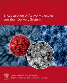 Sonawane / Bhanvase / Manickam |  Encapsulation of Active Molecules and Their Delivery System | Buch |  Sack Fachmedien