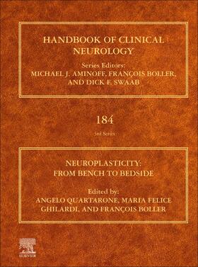 Quartarone / Ghilardi / Boller |  Neuroplasticity | Buch |  Sack Fachmedien