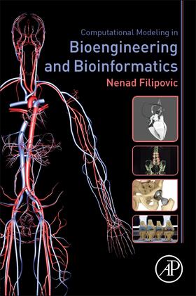 Filipovic |  Computational Modeling in Bioengineering and Bioinformatics | Buch |  Sack Fachmedien