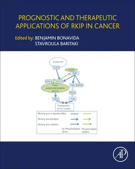 Bonavida / Baritaki |  Prognostic and Therapeutic Applications of RKIP in Cancer | Buch |  Sack Fachmedien