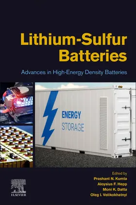 Kumta / Hepp / Datta |  Lithium-Sulfur Batteries | Buch |  Sack Fachmedien