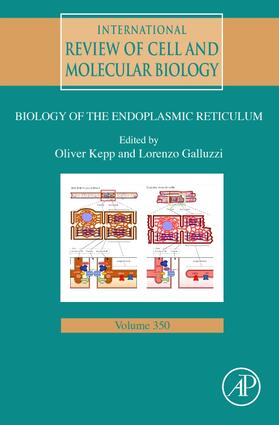 International Review of Cell and Molecular Biology | Buch | 978-0-12-819744-8 | sack.de