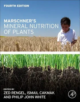 Rengel / Cakmak / White |  Marschner's Mineral Nutrition of Plants | Buch |  Sack Fachmedien