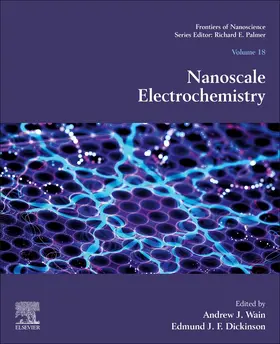 Wain / Dickinson |  Nanoscale Electrochemistry | Buch |  Sack Fachmedien