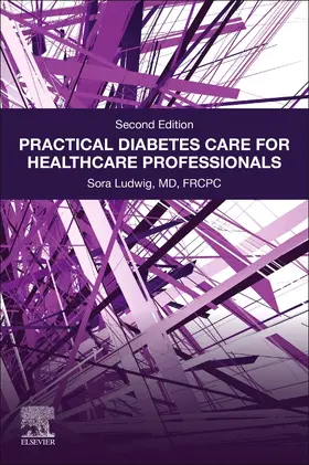 Ludwig |  Practical Diabetes Care for Healthcare Professionals | Buch |  Sack Fachmedien