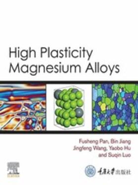 Pan / Jiang / Wang |  High Plasticity Magnesium Alloys | eBook | Sack Fachmedien