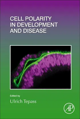  Cell Polarity in Development and Disease | Buch |  Sack Fachmedien