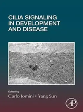 Iomini / Sun |  Cilia Signaling in Development and Disease | eBook | Sack Fachmedien