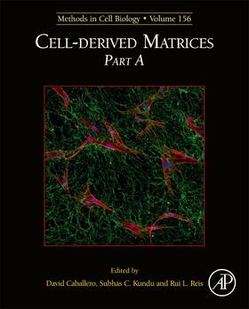  Cell-derived Matrices Part A | Buch |  Sack Fachmedien