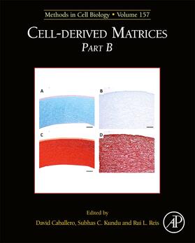  Cell-Derived Matrices Part B | Buch |  Sack Fachmedien