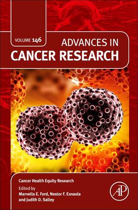  Cancer Health Equity Research | Buch |  Sack Fachmedien