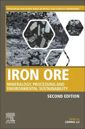 Lu |  Iron Ore | Buch |  Sack Fachmedien