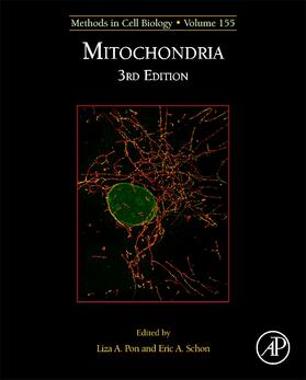  Mitochondria Biology | Buch |  Sack Fachmedien