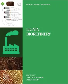 Bhaskar / Pandey |  Biomass, Biofuels, Biochemicals | Buch |  Sack Fachmedien