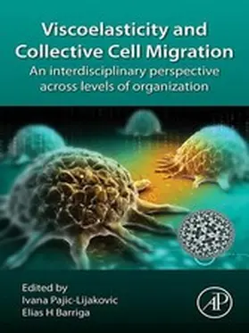 Pajic-Lijakovic / Barriga |  Viscoelasticity and Collective Cell Migration | eBook | Sack Fachmedien